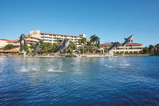 Corporate Burnout – A Trip to Puerto Aventuras Can Fix That!